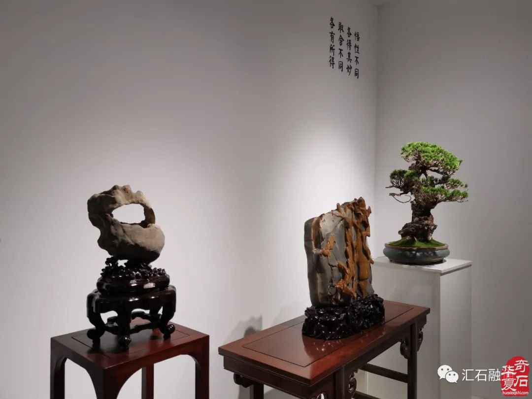 论传统奇石的转型发展