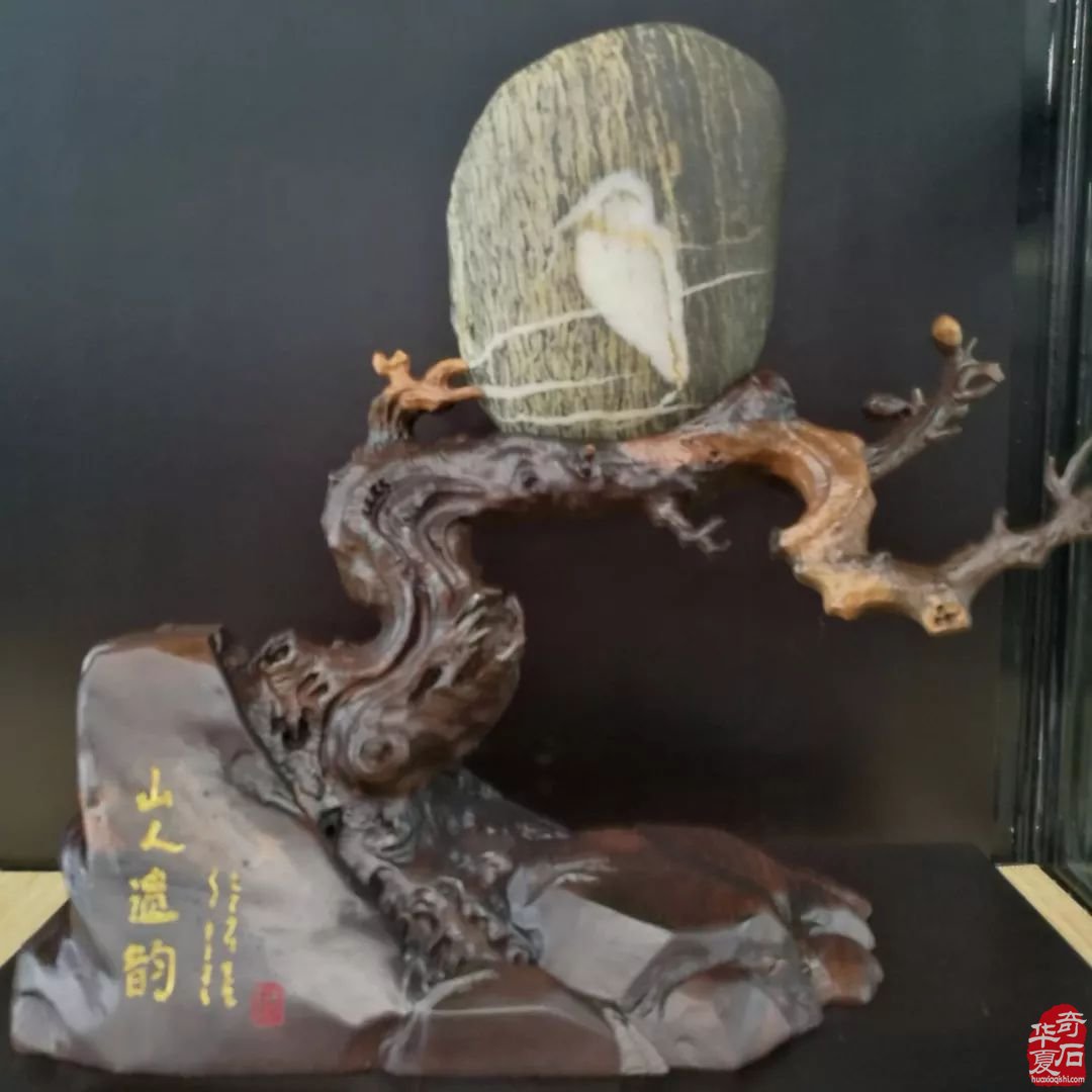 论观赏石自然美的成因机理 图