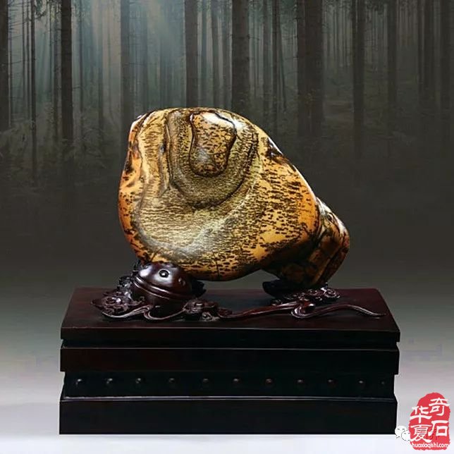 论观赏石自然美的成因机理 图