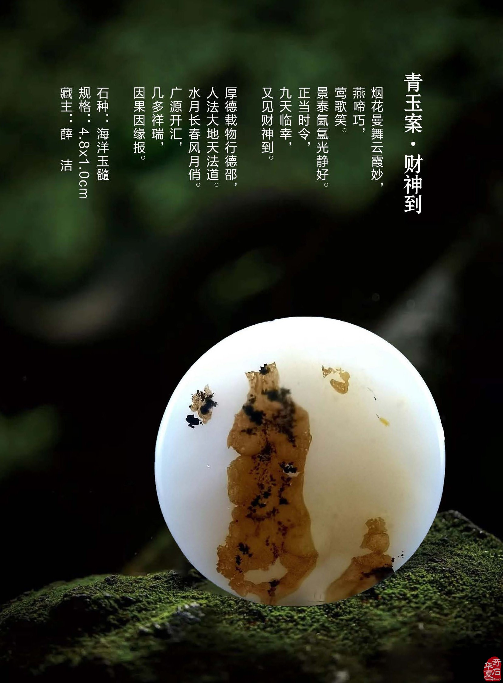 《于公赏石》展风采 秋江花月赏美石 图