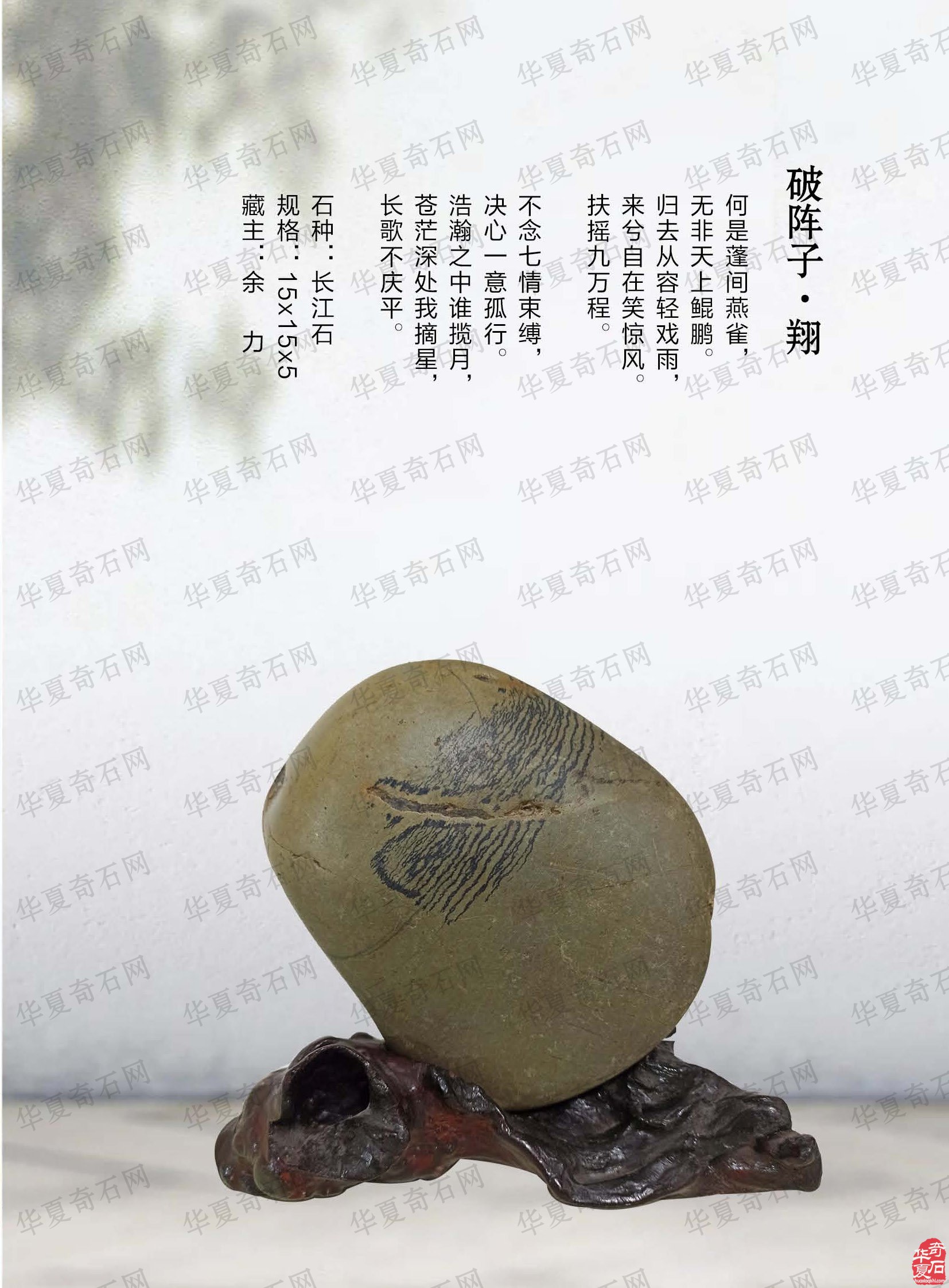 《于公赏石》展风采 秋江花月赏美石 图