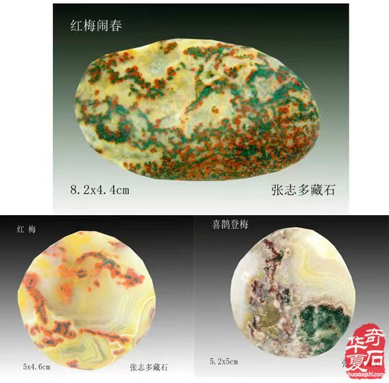 “石宝斋”里爱石情——记著名雨花石收藏家张志多先生