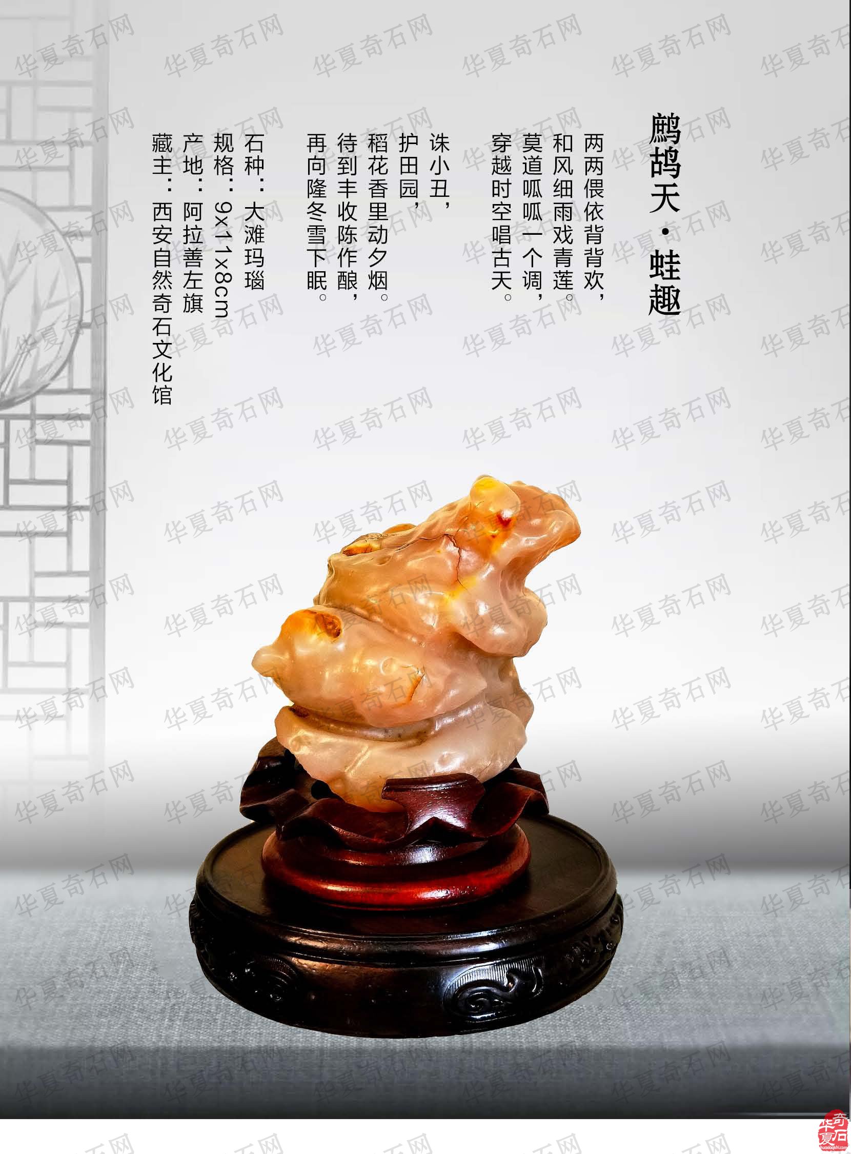 《于公赏石》杂志第十二期上线啦 图