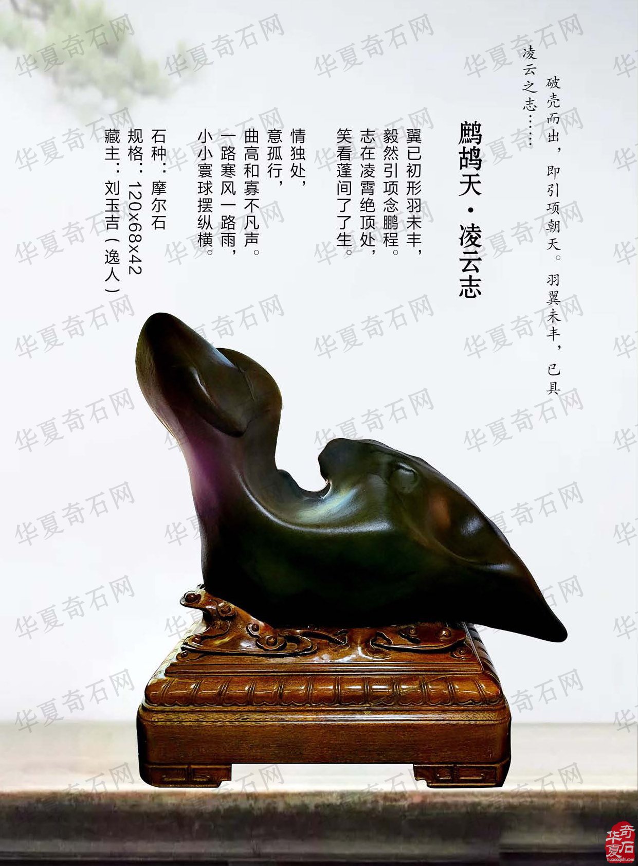 《于公赏石》杂志第十二期上线啦 图