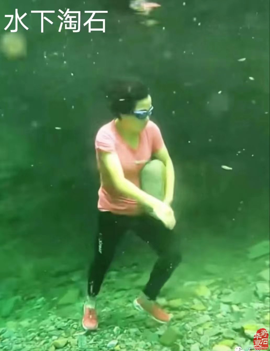 谈谈赏石模特 图