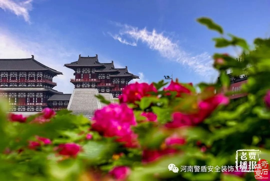 弘扬河洛石文化 建言资政谋发展