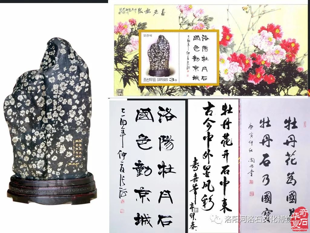 弘扬河洛石文化 建言资政谋发展