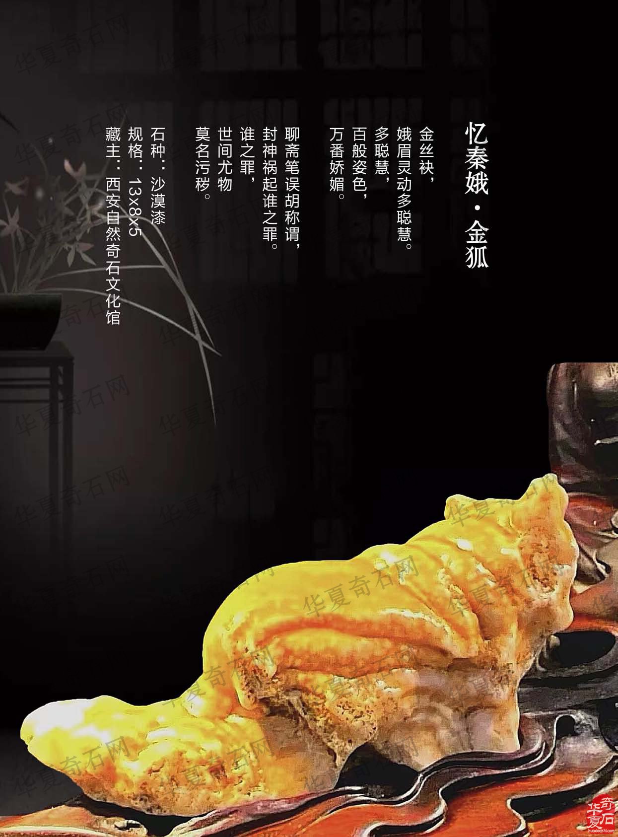 迎新春2023《于公赏石》杂志首期上线了 图
