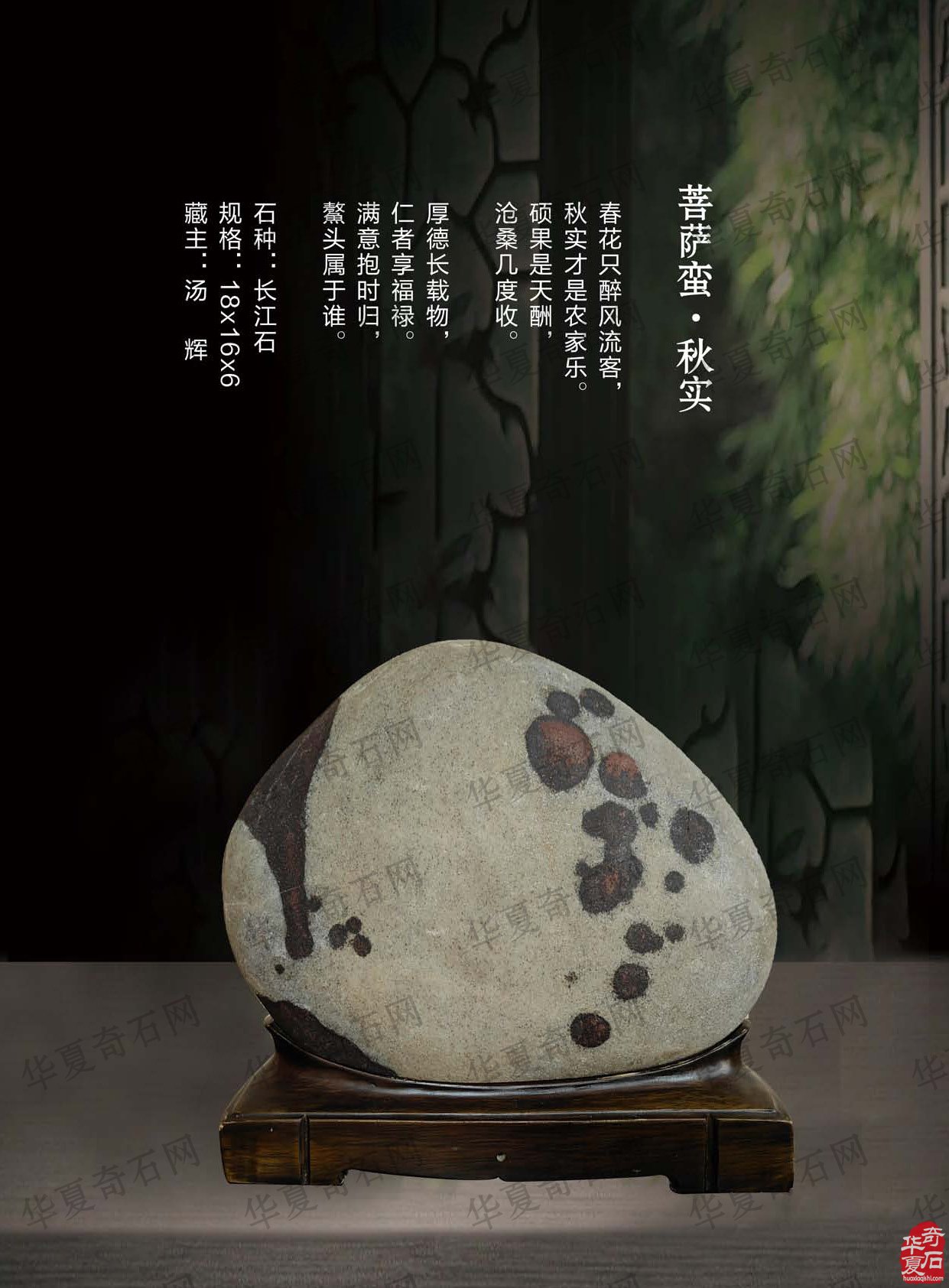 迎新春2023《于公赏石》杂志首期上线了 图