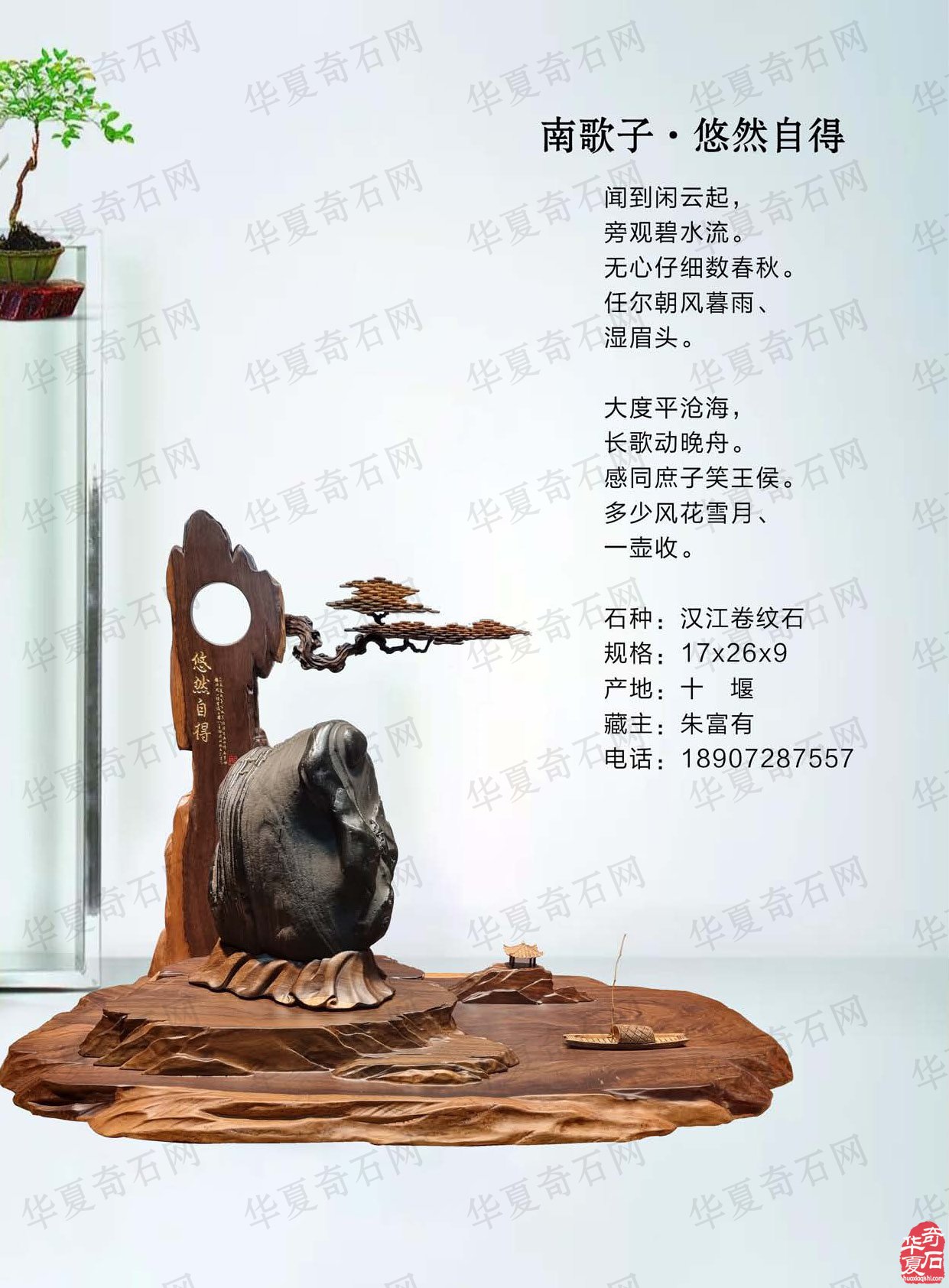 迎新春2023《于公赏石》杂志首期上线了 图