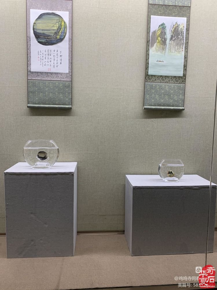 【石画情缘】王建平个人收藏美石作品展