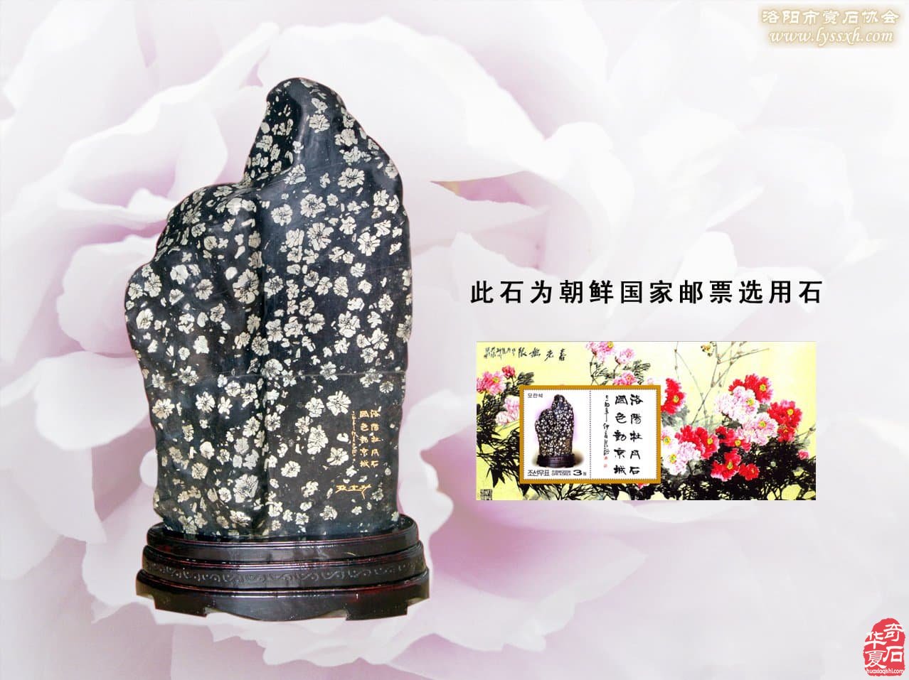 庆贺“中国观赏石之城•赏石文化之都”授牌十周年