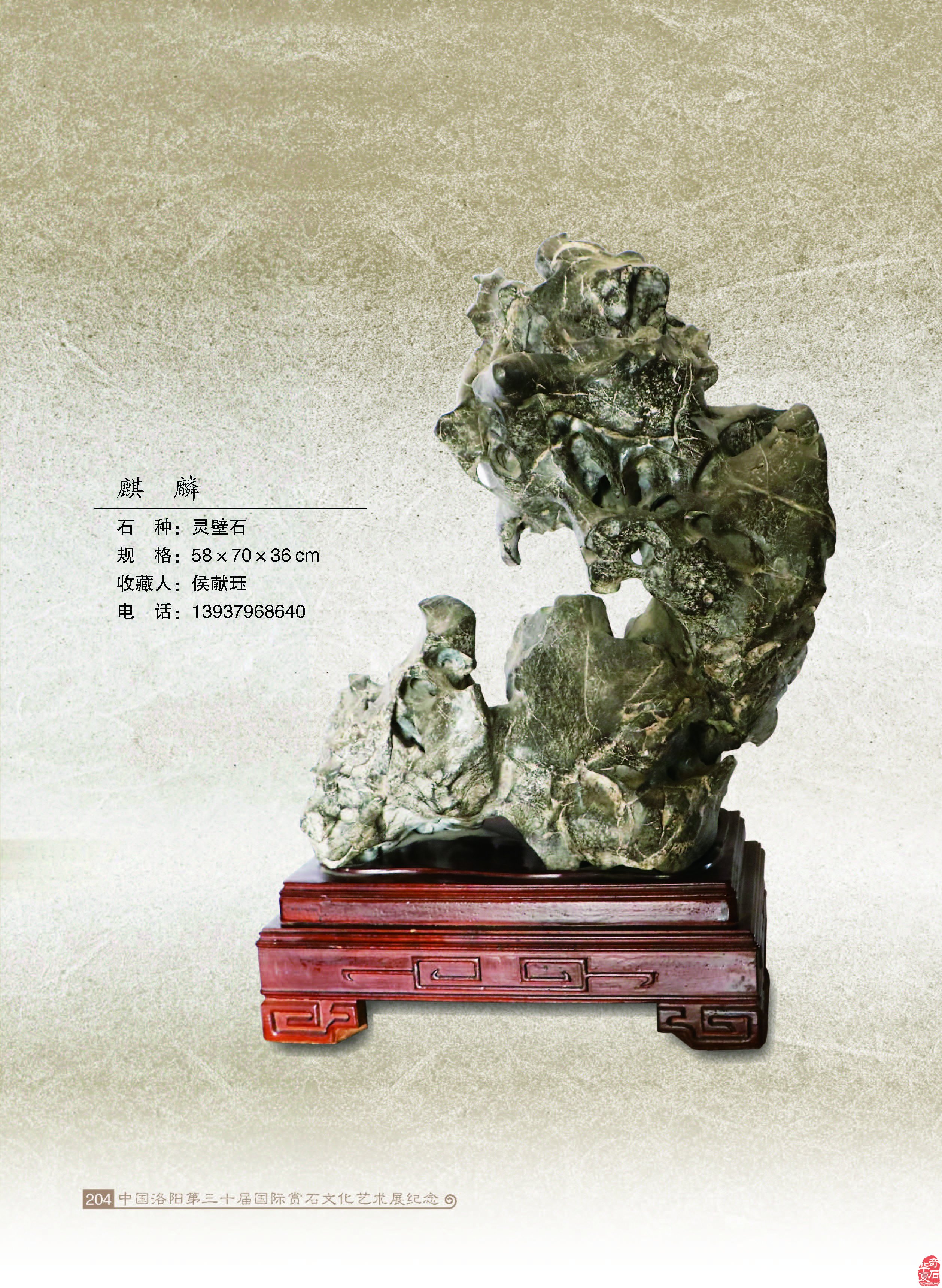 庆贺“中国观赏石之城•赏石文化之都”授牌十周年
