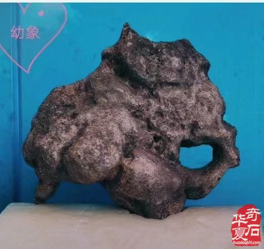 庆贺“中国观赏石之城•赏石文化之都”授牌十周年