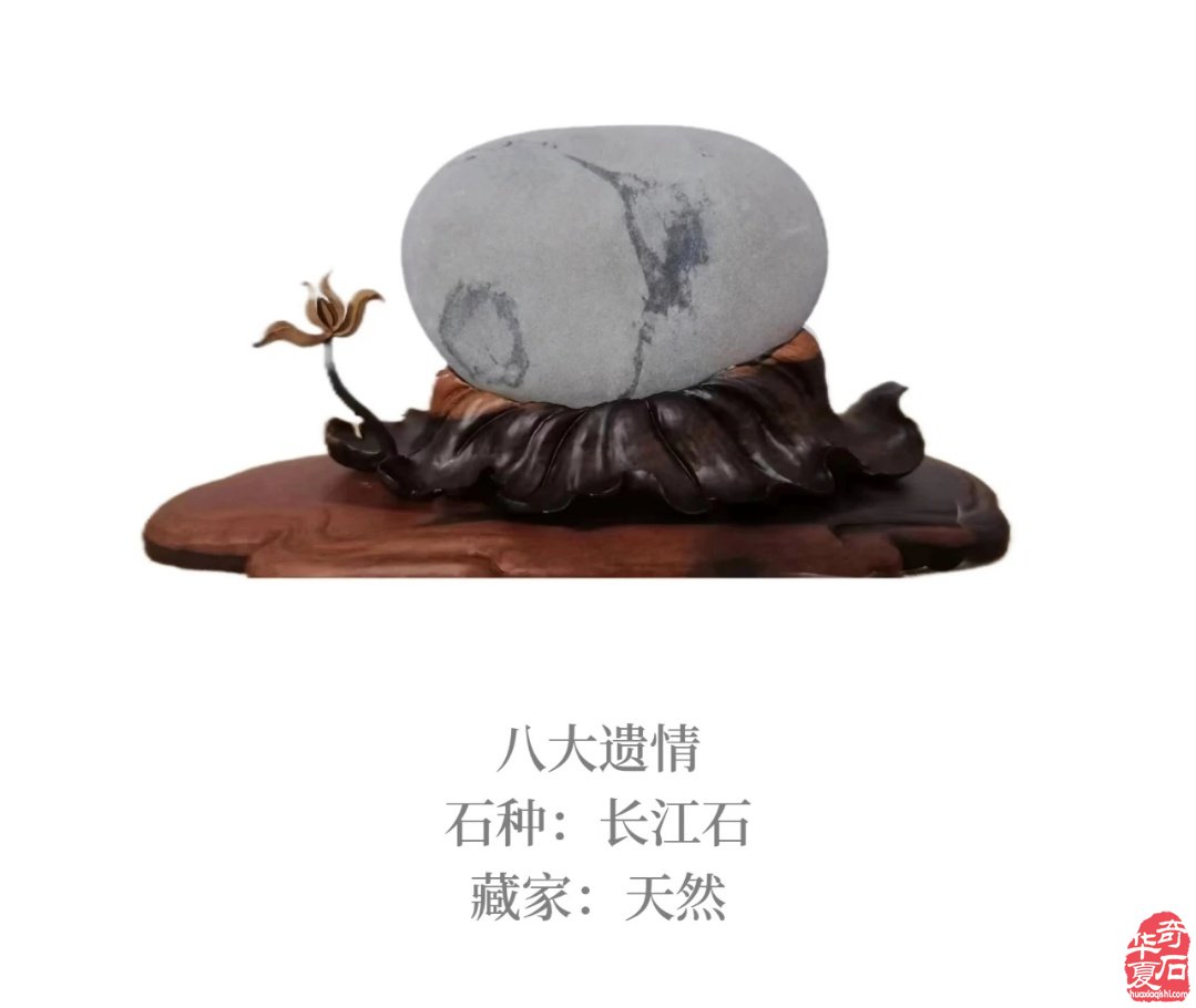长江奇石专辑---《鹤》 与君共品