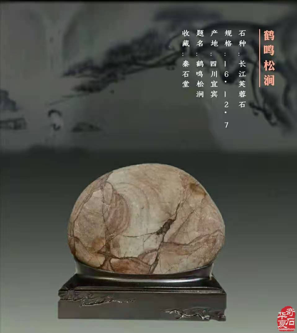 长江奇石专辑---《鹤》 与君共品
