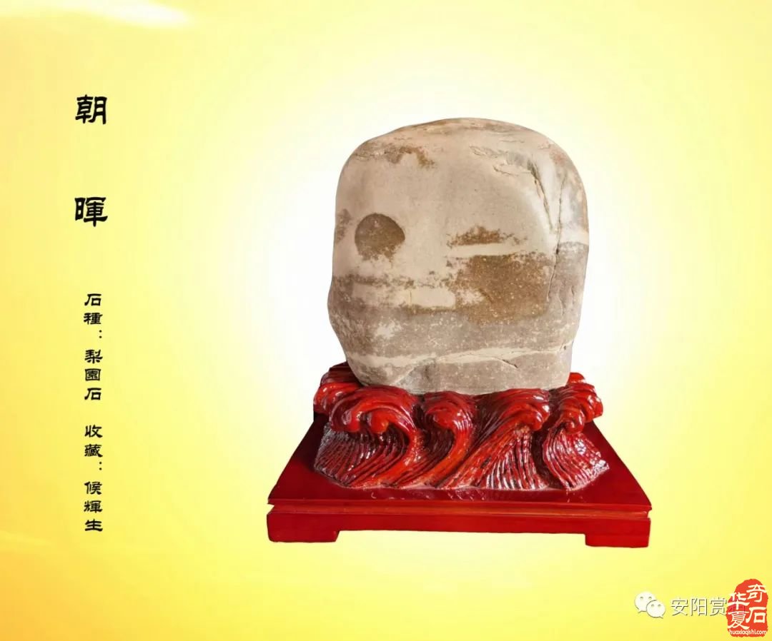 2023年安阳咏石茶社第二期活动