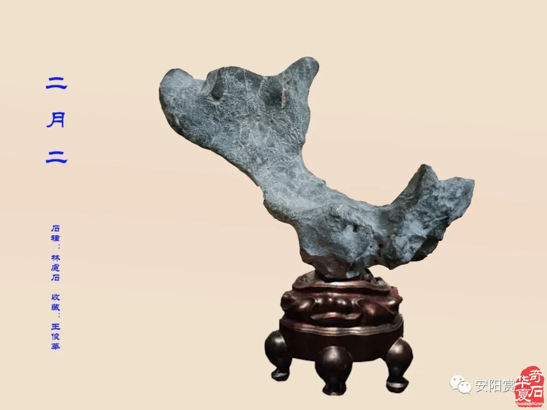 2023年安阳咏石茶社第二期活动