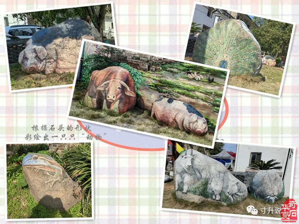 金华下吴村石展的追踪报道