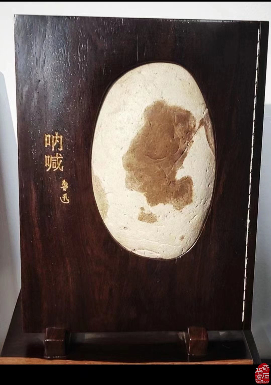 《春天的318》洛阳协会参展团来了