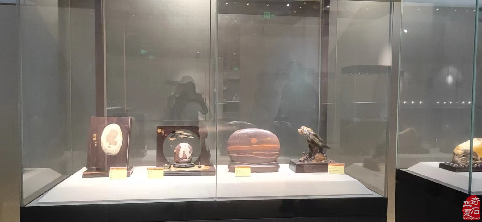 《春天的318》洛阳协会参展团来了