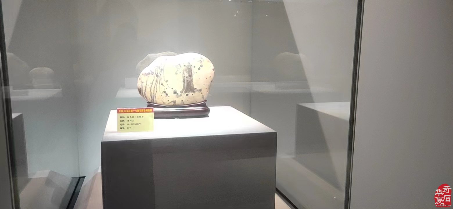 《春天的318》洛阳协会参展团来了
