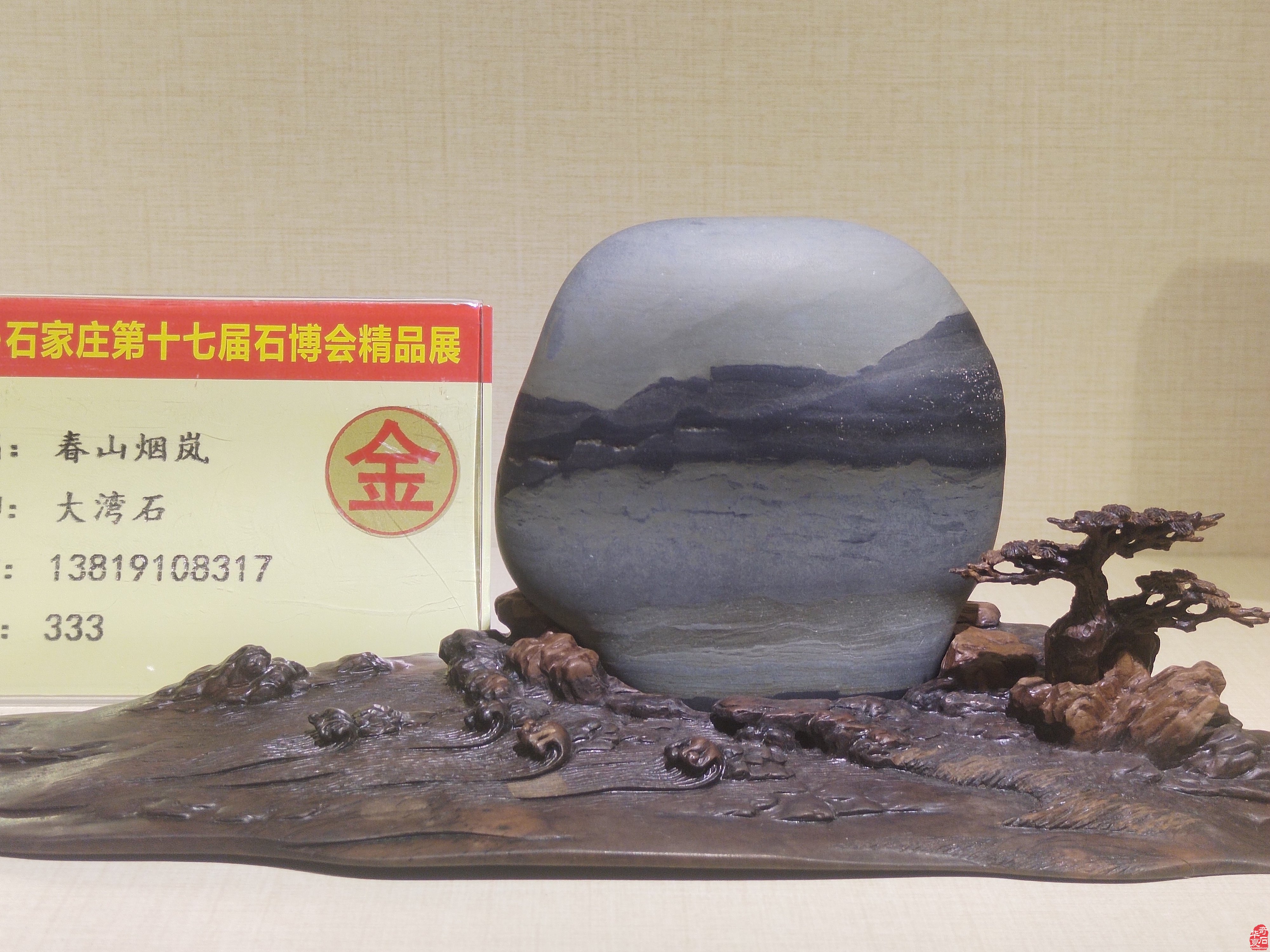 中国·石家庄第十七届观赏石博览会盛大开幕