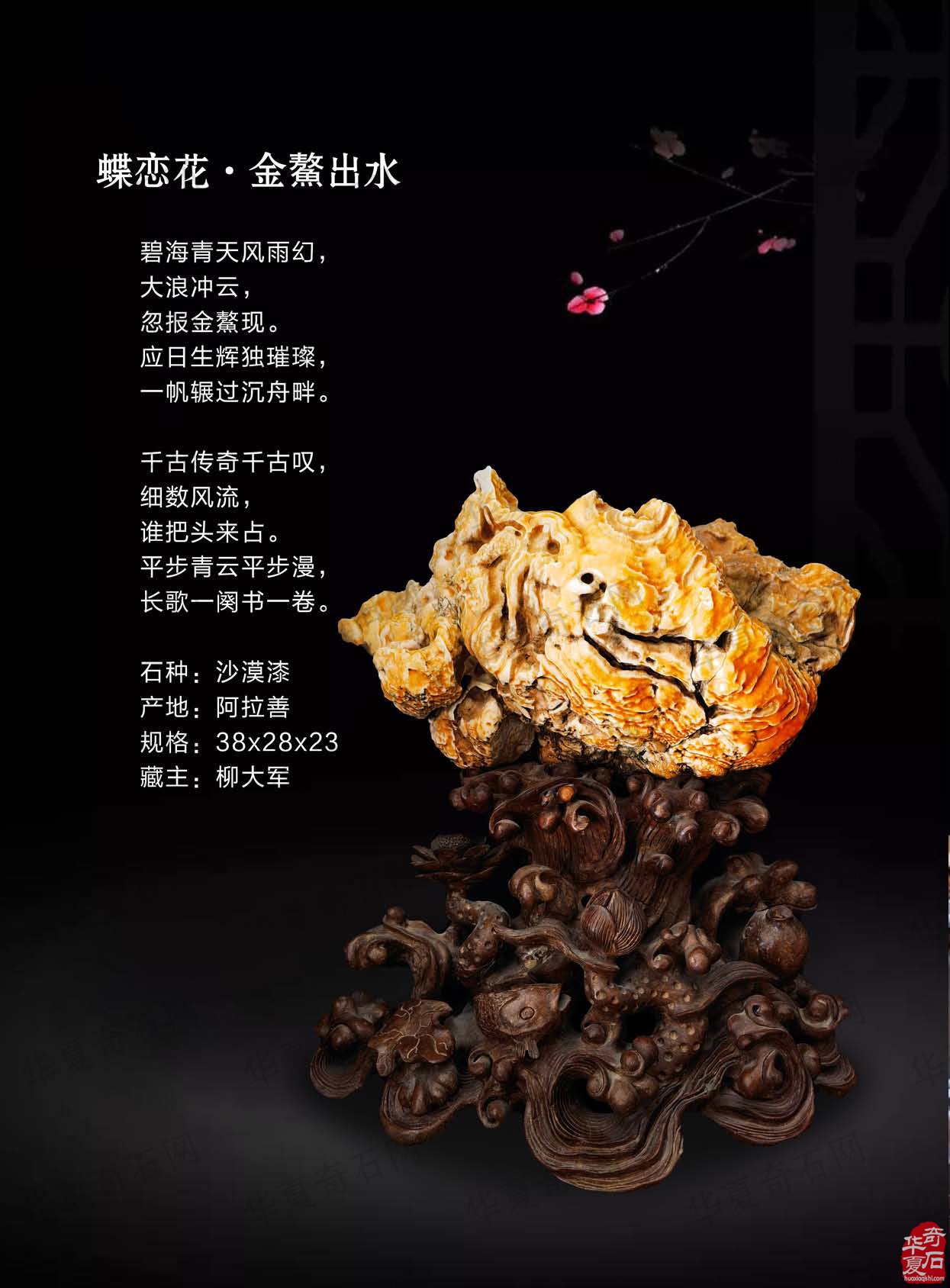 《于公赏石》第3期上线 洛阳石展进入倒计时 图