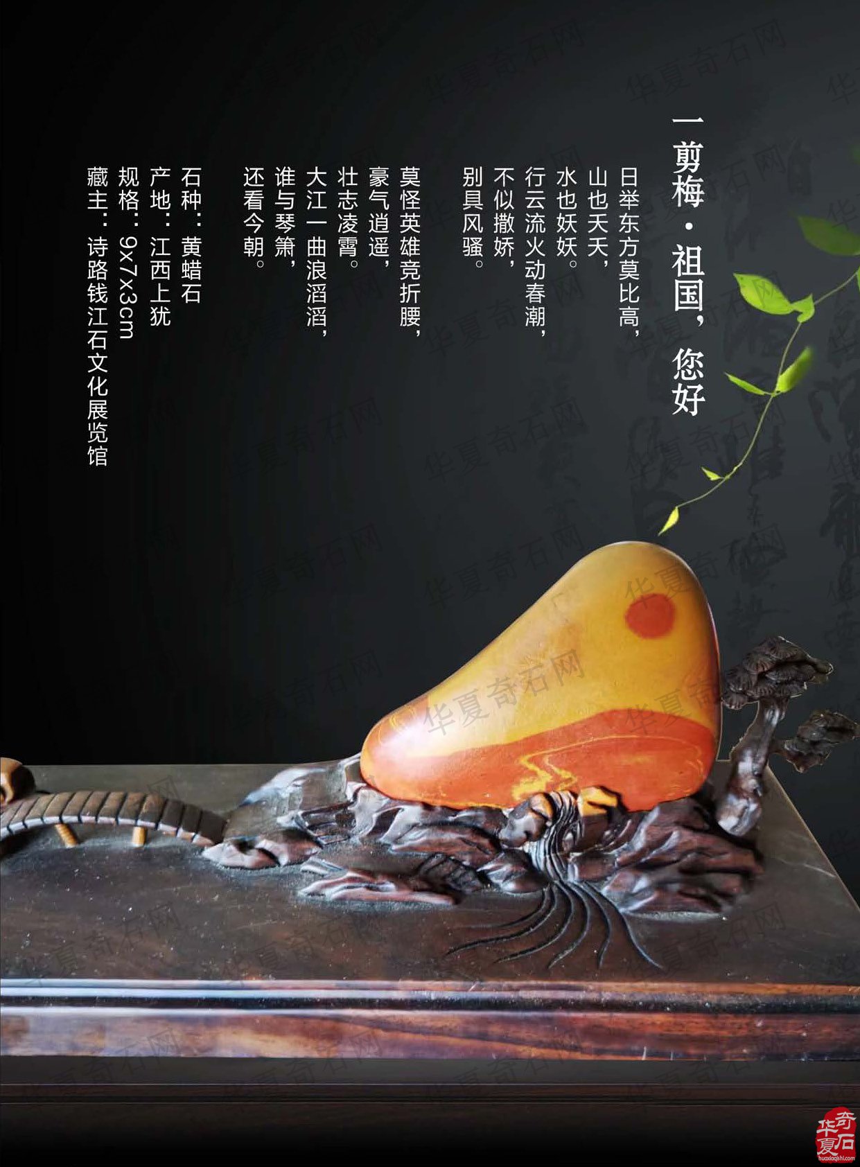 《于公赏石》第3期上线 洛阳石展进入倒计时 图