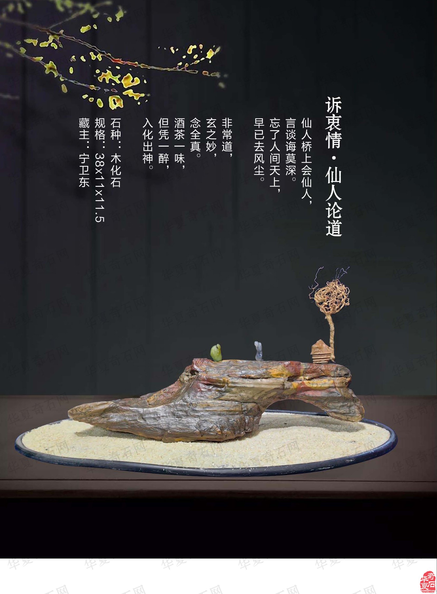 《于公赏石》第3期上线 洛阳石展进入倒计时 图