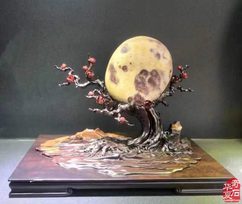 《于公赏石》第3期上线 洛阳石展进入倒计时 图