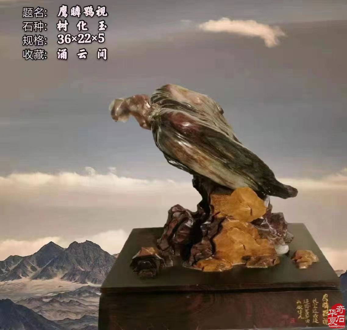《于公赏石》第3期上线 洛阳石展进入倒计时 图