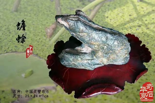 中国•济南第十一届 观赏石宝玉石博览会暨奇石精品展