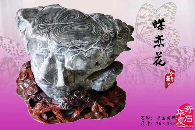 中国•济南第十一届 观赏石宝玉石博览会暨奇石精品展