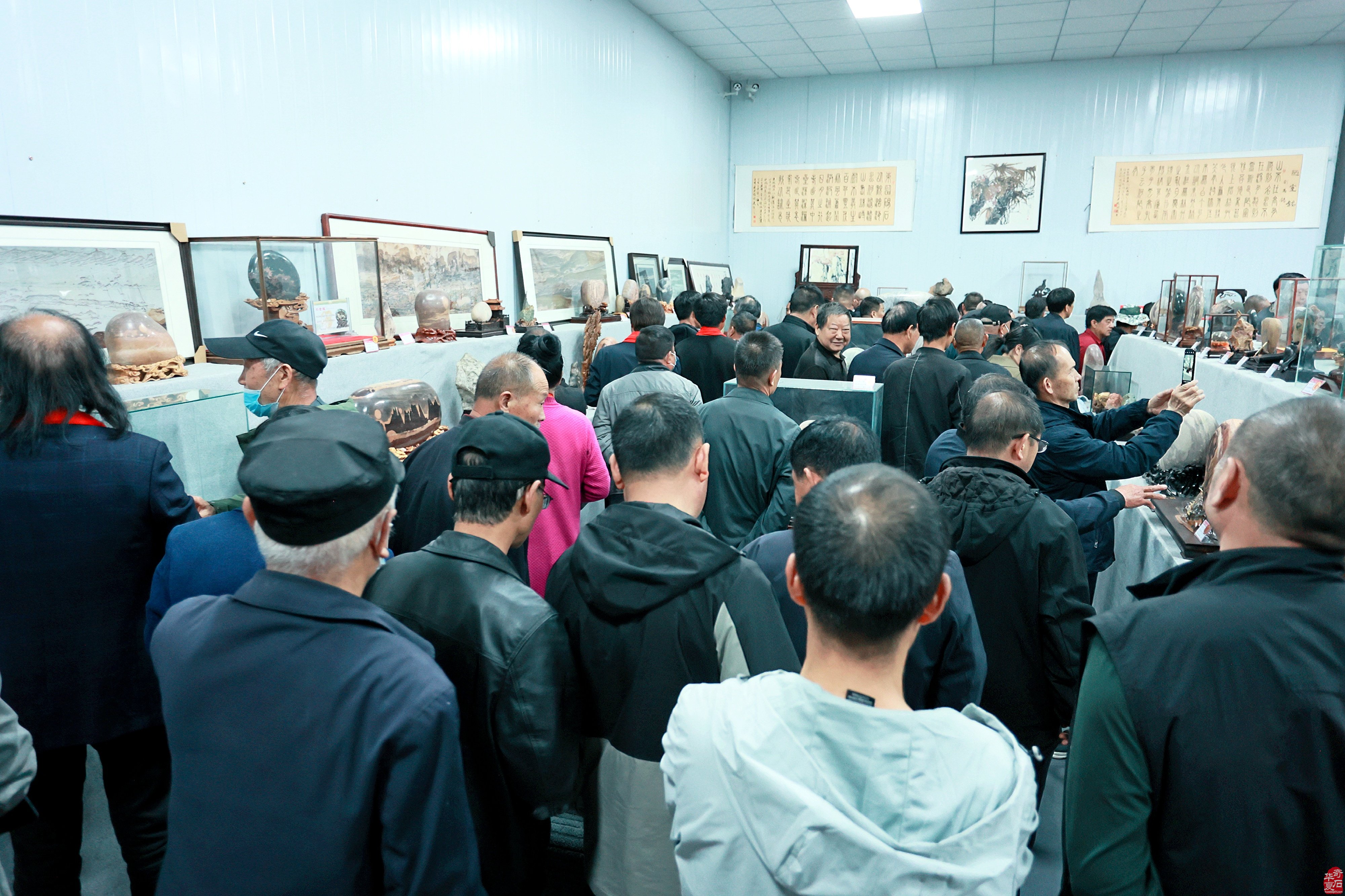 中国洛阳第三十一届国际赏石文化艺术展暨交易会盛大开幕