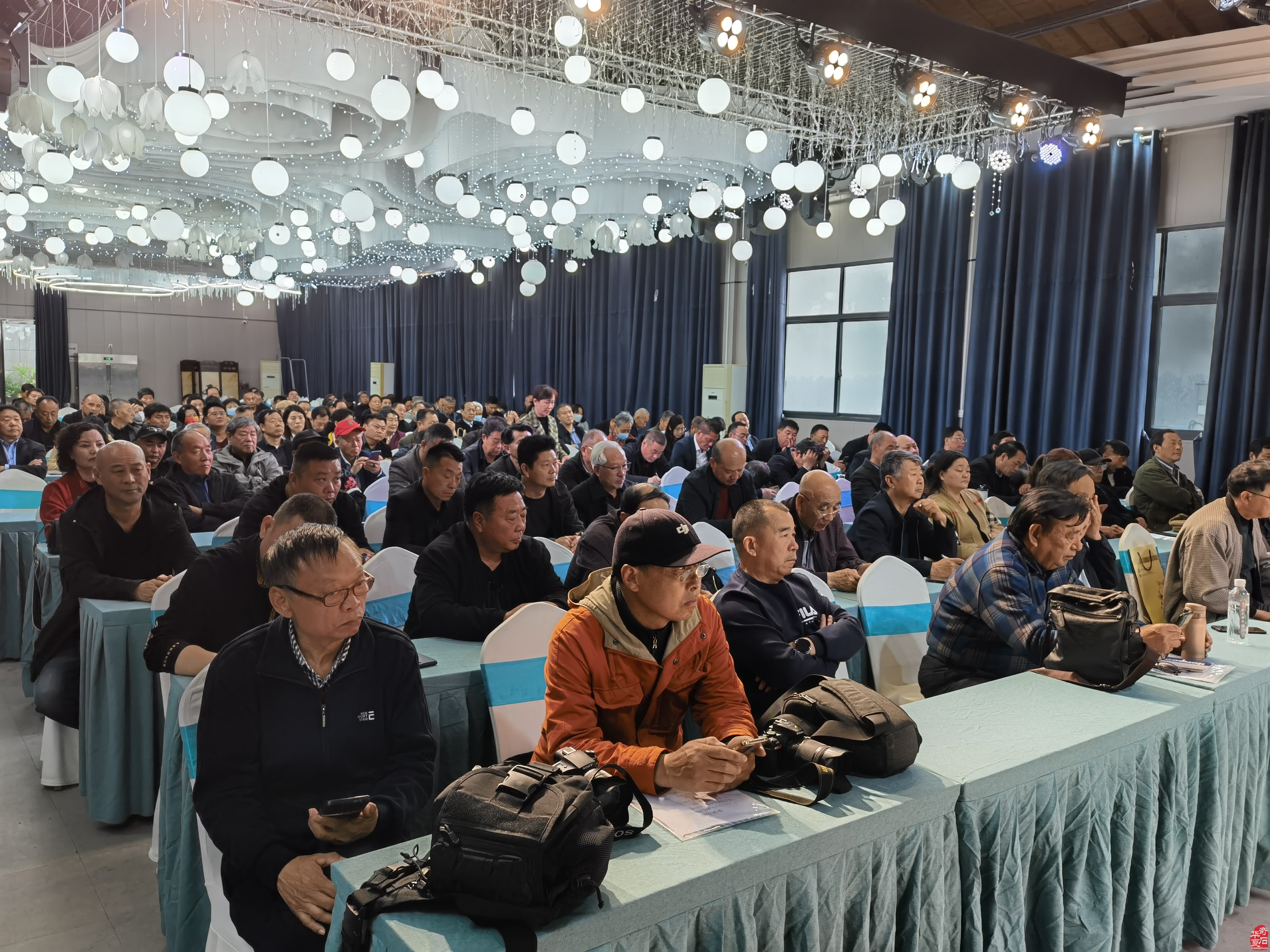 河南省观赏石协会年会隆重召开 图