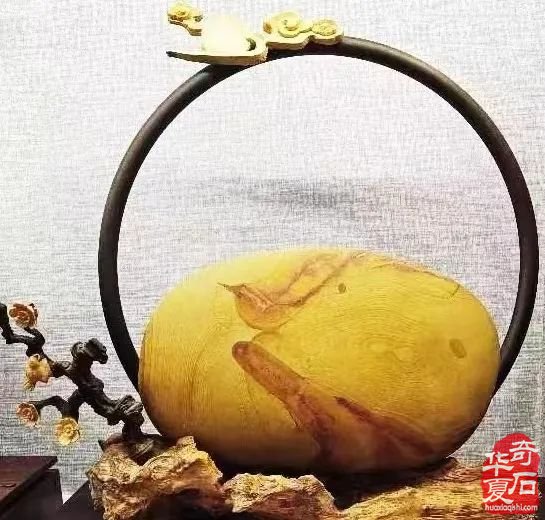 出发吧,长沙石展,您不可错过的一场盛宴