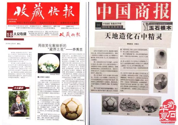 不让须眉的雨花石收藏家 组图