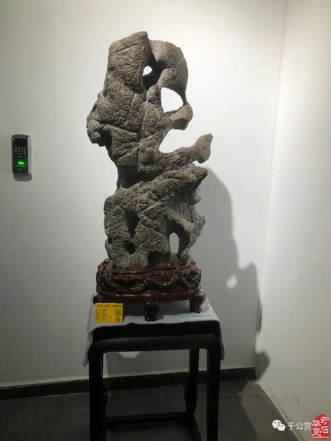 第三届长沙大麓古玩城赏石博览会暨第三届“金鸡杯”全国精品赏石展隆重开幕