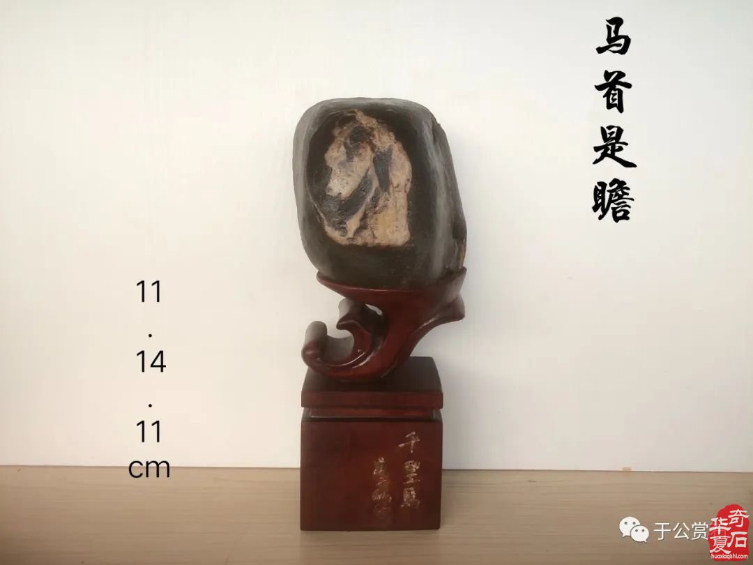 第三届长沙大麓古玩城赏石博览会暨第三届“金鸡杯”全国精品赏石展隆重开幕
