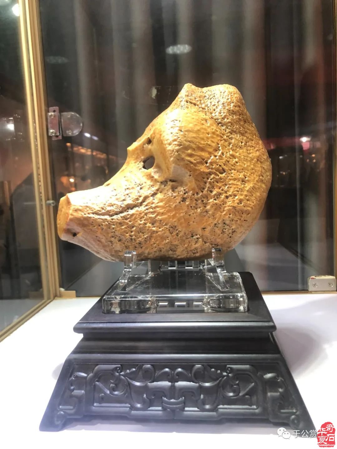 第三届长沙大麓古玩城赏石博览会暨第三届“金鸡杯”全国精品赏石展隆重开幕
