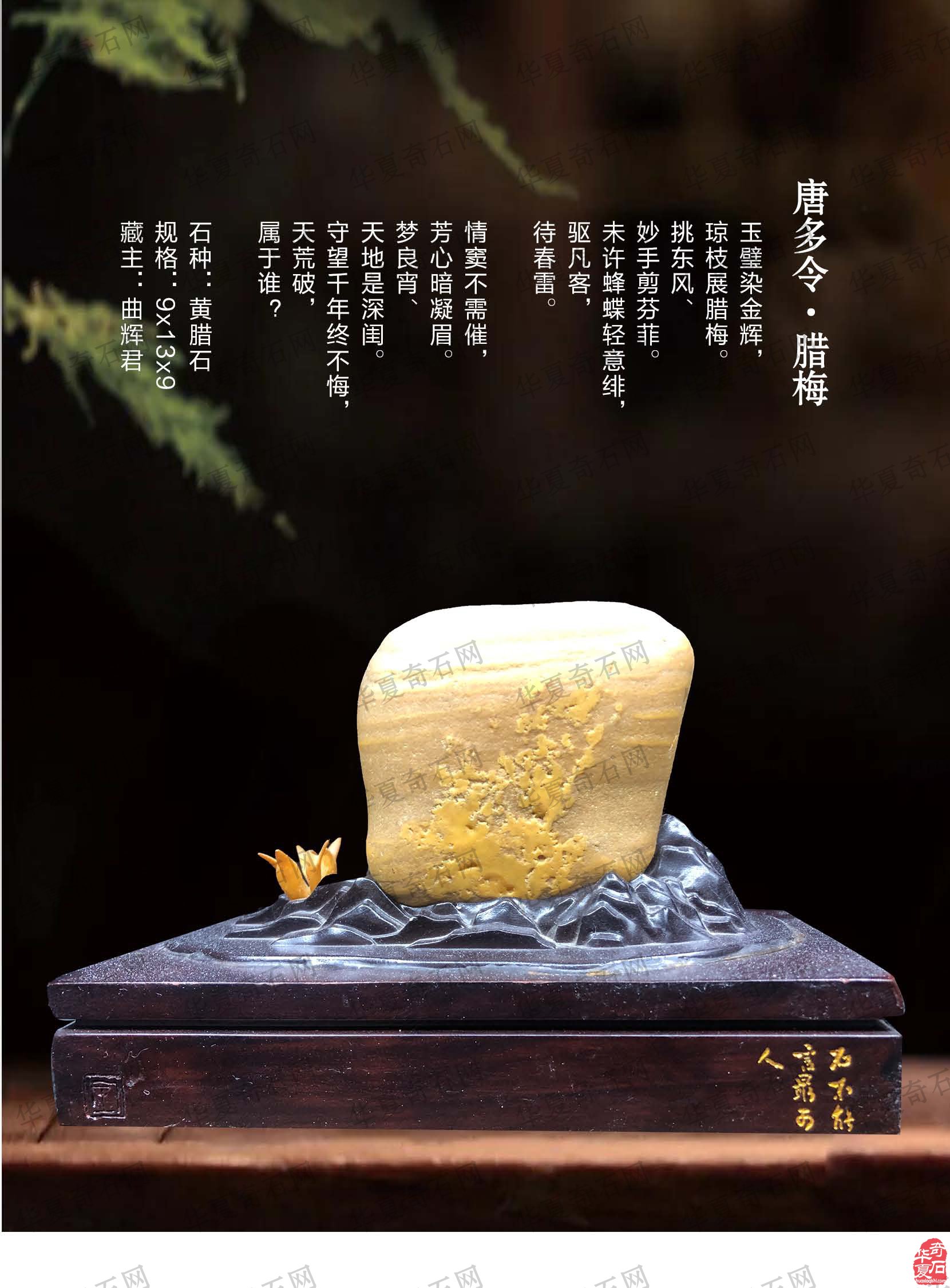 《于公赏石》杂志与藏家相辅相成携手前行