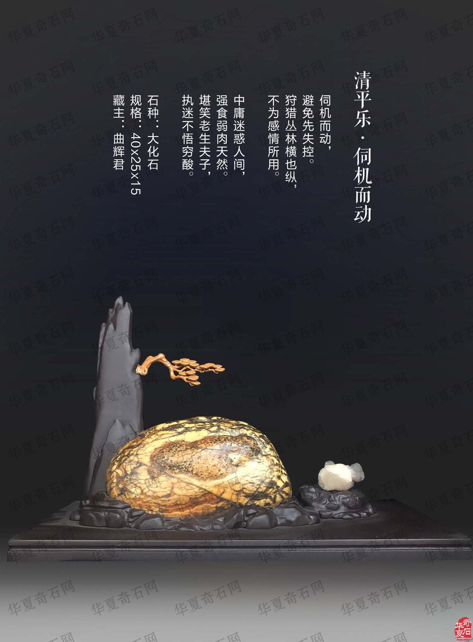 《于公赏石》杂志与藏家相辅相成携手前行