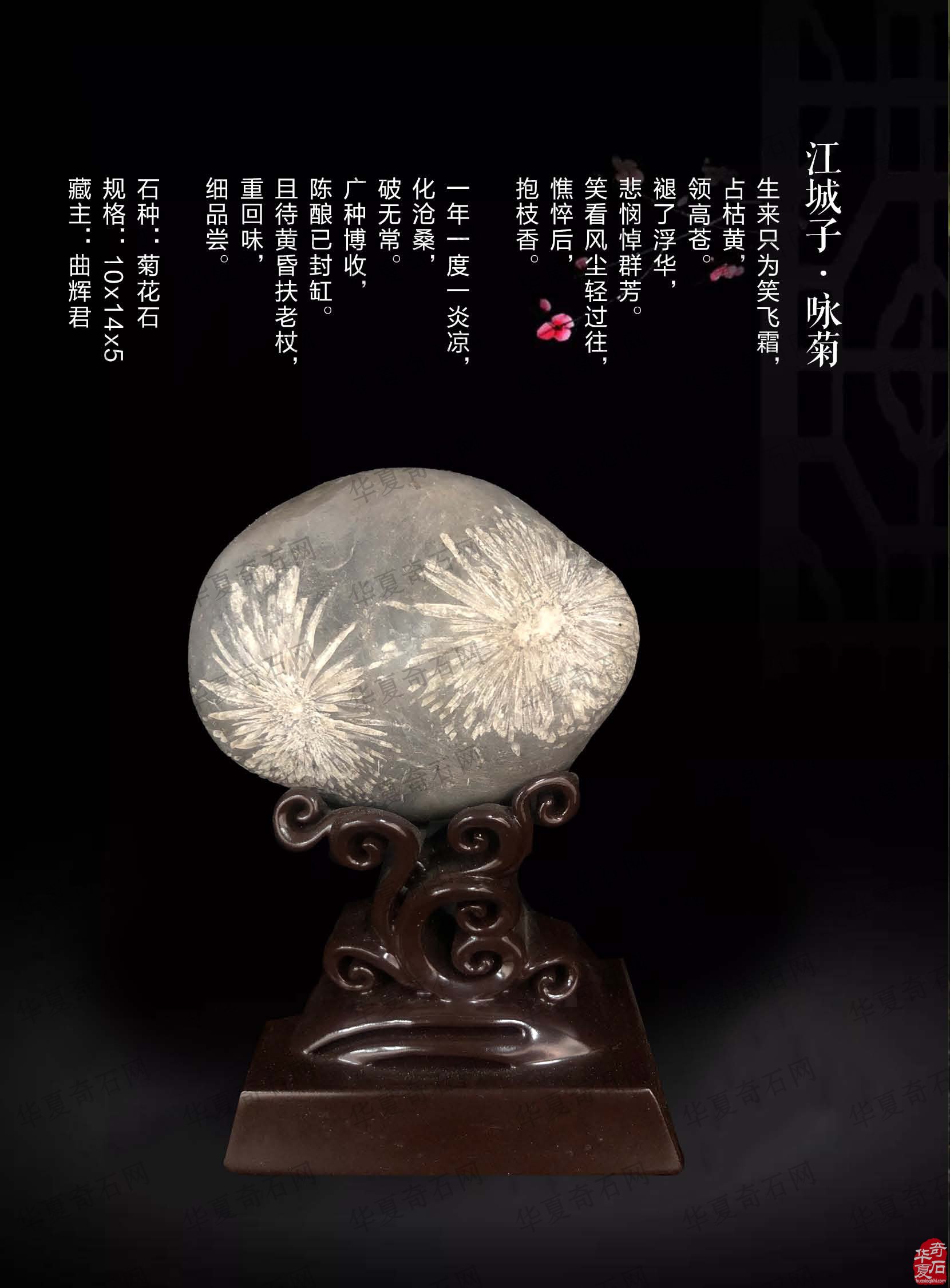 《于公赏石》杂志与藏家相辅相成携手前行