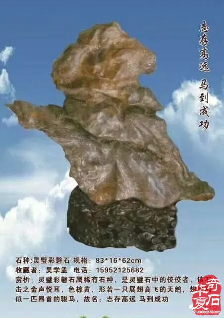 梅玺堂//全国奇石免费展示图（第112期）