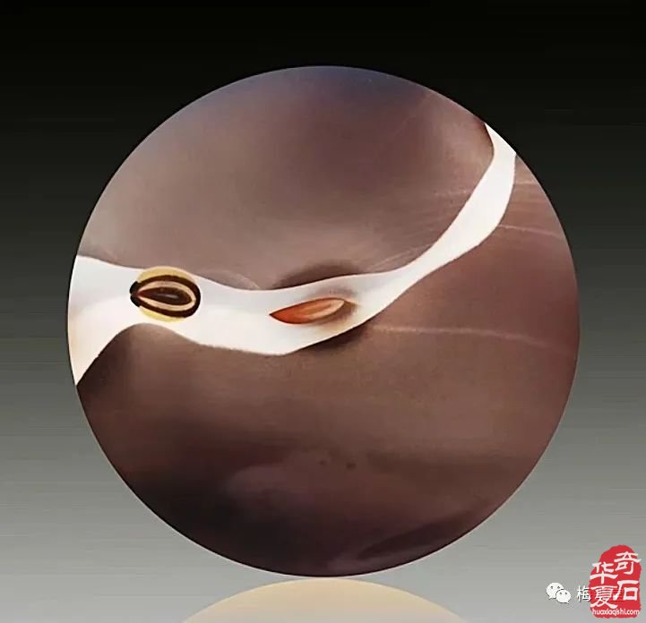 梅玺堂//全国奇石免费展示图(第112期)