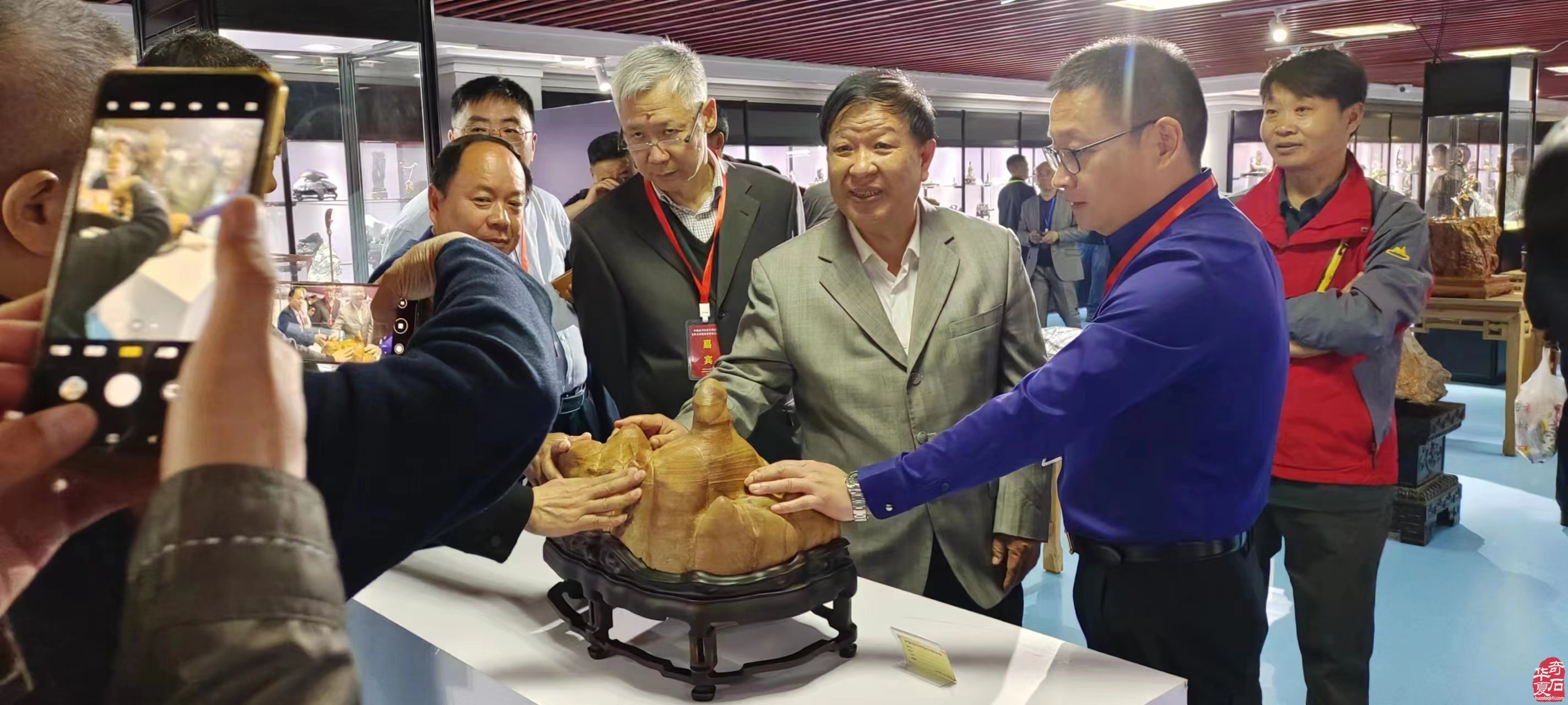 淮南石协赴蚌埠首届赏石文化节 图