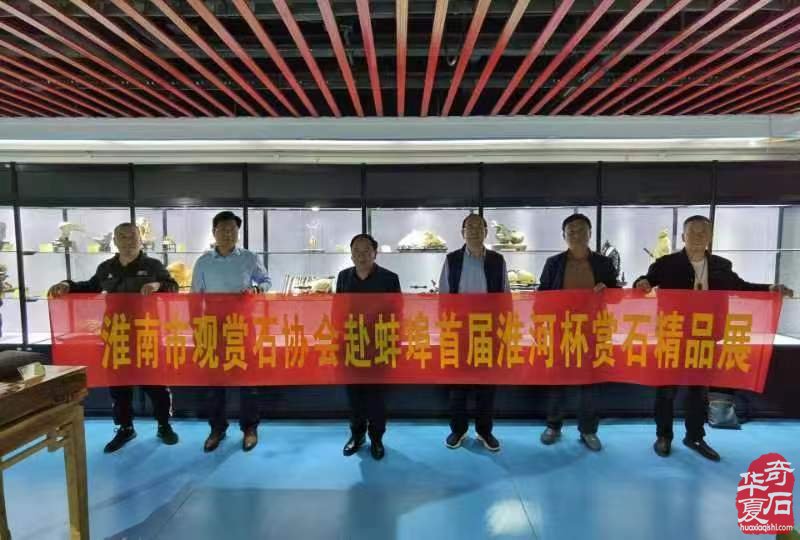 淮南石协赴蚌埠首届赏石文化节 图