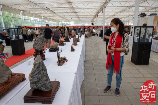 中国•济南第十一届 观赏石宝玉石博览会暨奇石精品展隆重开幕