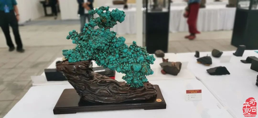 中国•济南第十一届 观赏石宝玉石博览会暨奇石精品展隆重开幕